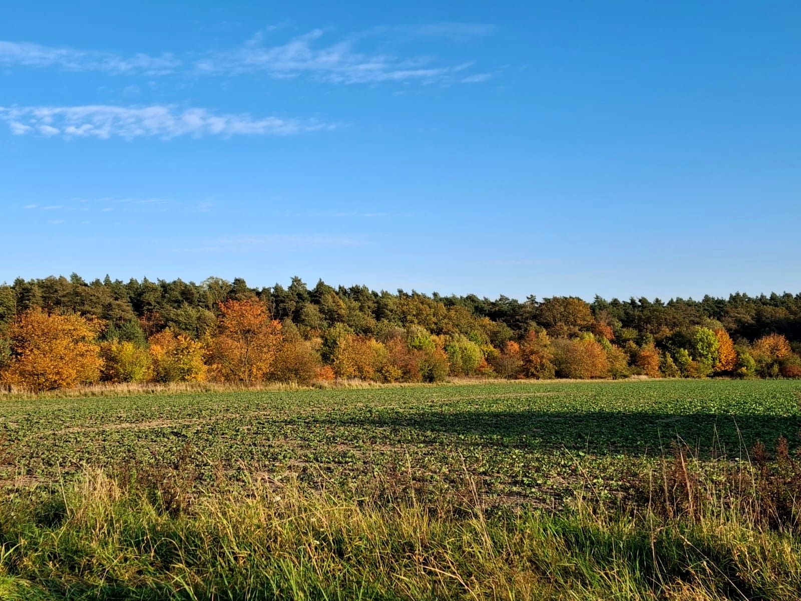 dzialka-budowlana-sprzedam