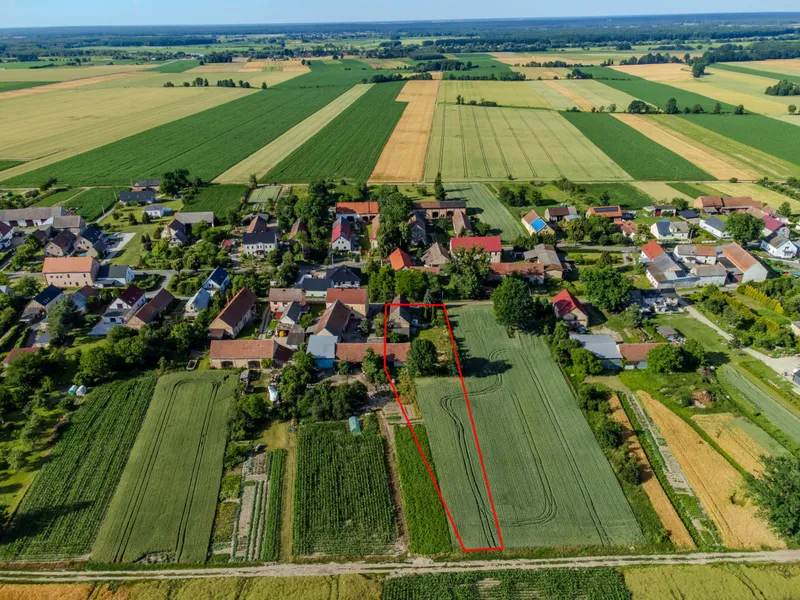 800